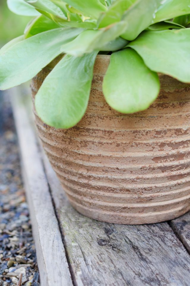 Antiqued Ring Ceramic Jar Planter, 11" #5