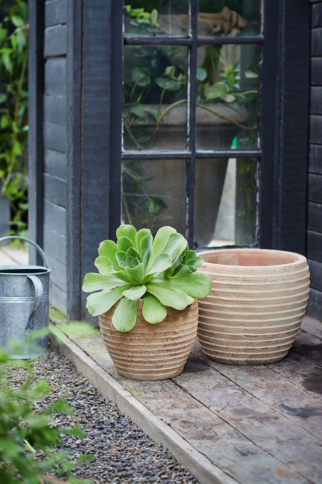 Antiqued Ring Ceramic Jar Planter, 11" #4