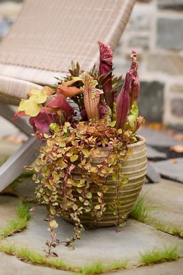Antiqued Ring Ceramic Jar Planter