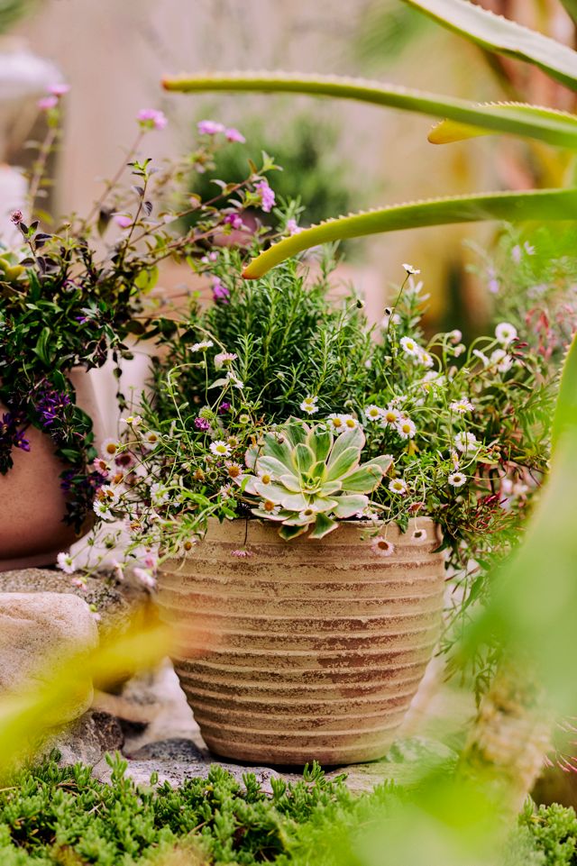Antiqued Ring Ceramic Jar Planter #6