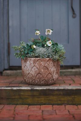 Paloma Ceramic Bowl Planter