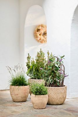 Paloma Ceramic Bowl Planter