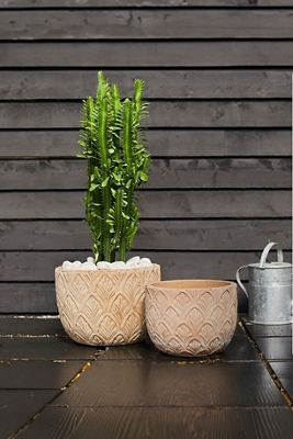 Paloma Ceramic Bowl Planter, 15"