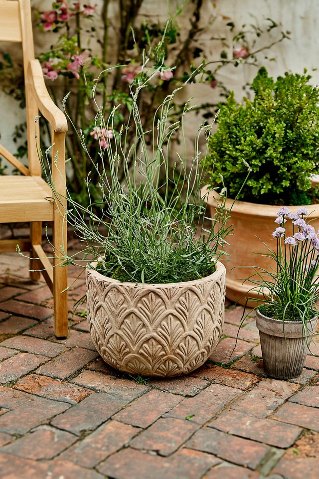 Paloma Ceramic Bowl Planter, 18