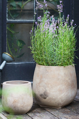 Terrain Aged Ceramic Planter, 8"
