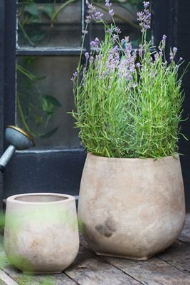 Aged Ceramic Planter, 8"