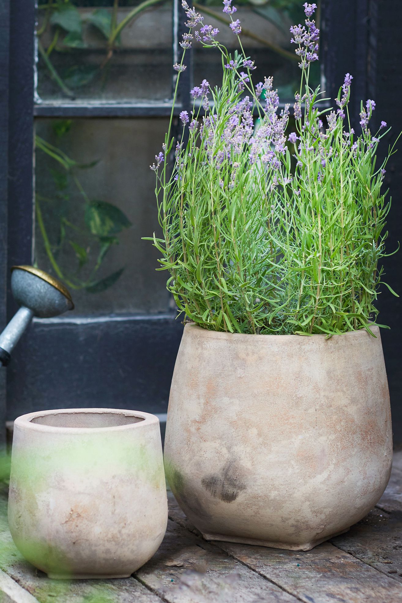 Aged Ceramic Planter, 12" - Natural, 12"