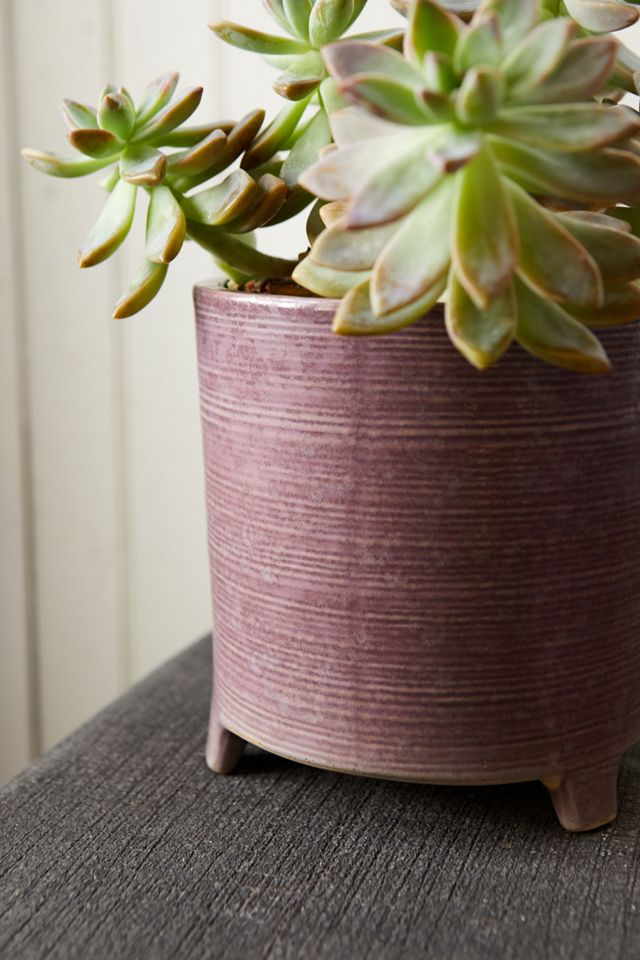 Remy Ceramic Footed Planter, 6" #4