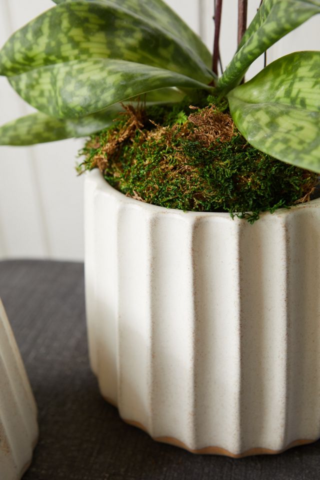 Furrow Ceramic Planter, 5