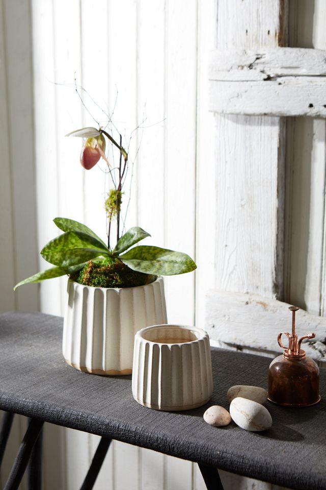 Furrow Ceramic Planter, 7 #1