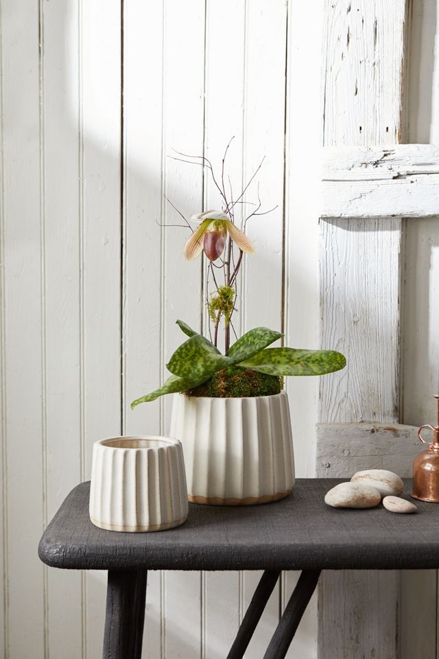 Furrow Ceramic Planter, 7 #2