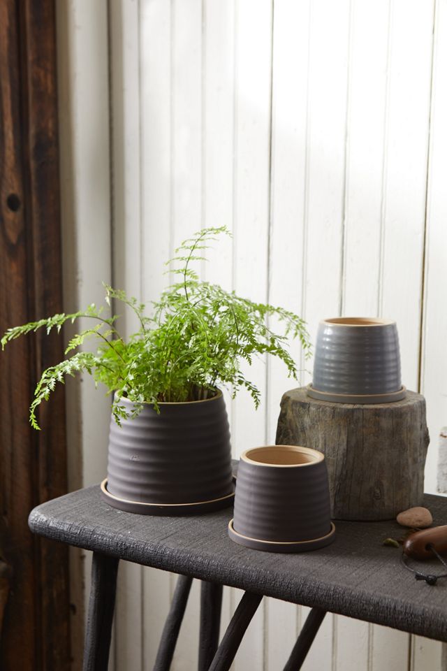 Horiztonal Ridge Ceramic Pot + Saucer Set, 5" AnthroLiving