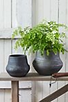 Charcoal Ceramic Bell Jar Planter, 7"