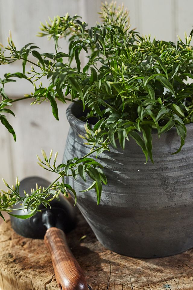 Charcoal Ceramic Ridged Planter, 7" #2