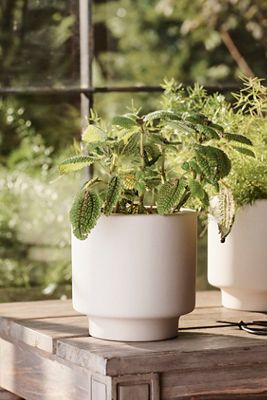 Ceramic Level Planter, 6"