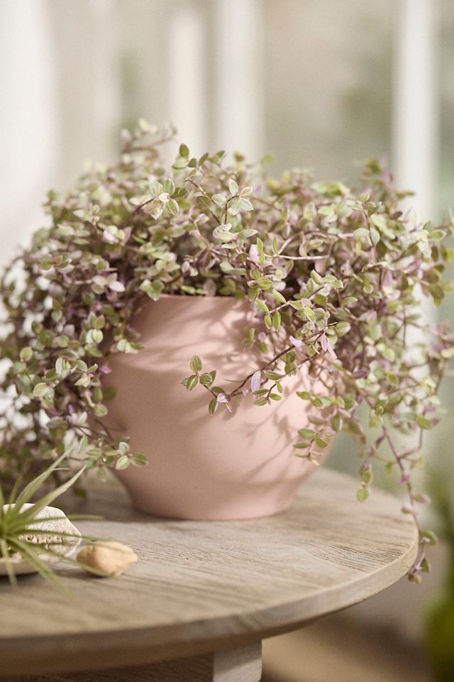 Ceramic Nia Planter, 6" #1