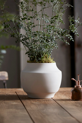 Terrain Mod Ceramic Jar Planter, 9"