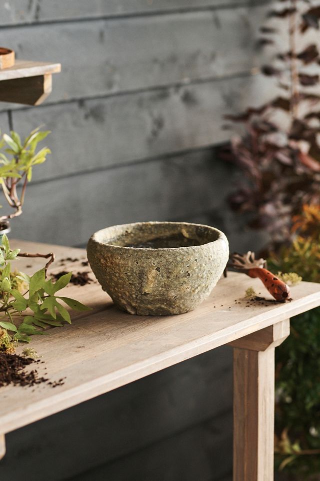 Barnacle Button Bowl Planter #2