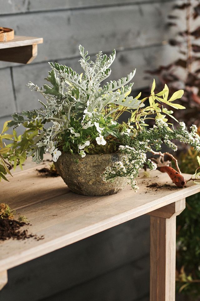Barnacle Button Bowl Planter #5