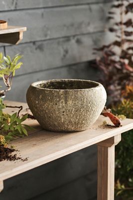 Barnacle Button Bowl Planter