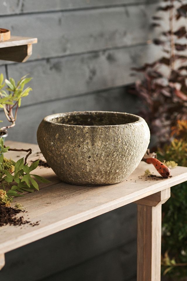 Barnacle Button Bowl Planter #3