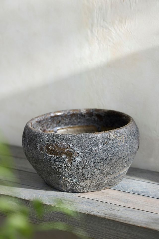 Barnacle Button Bowl Planter #2