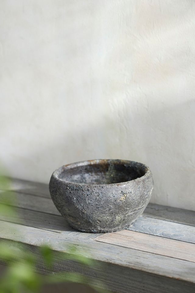 Barnacle Button Bowl Planter #4