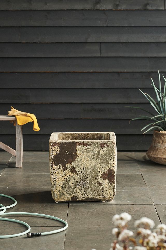 Barnacle Cube Planter, 20" #1