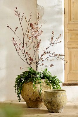 Barnacle Footed Drop Planter
