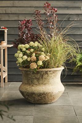 Terrain Barnacle Lotus Planter