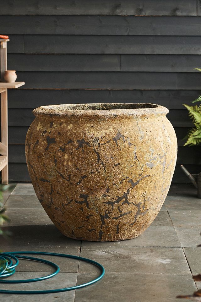 Barnacle Round Shoulder Jar #1