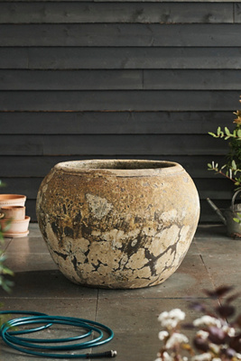 Terrain Barnacle Olla Pot