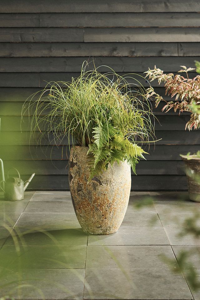 Barnacle Tall Egg Planter #4
