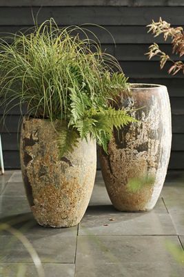 Barnacle Tall Egg Planter