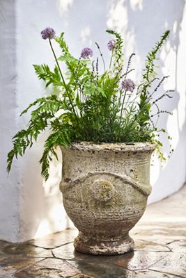 Otto Curved Urn Planter