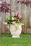 Barnacle French Urn, 25"