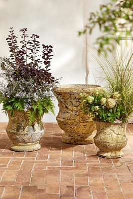 Terrain Barnacle Thistle Urn