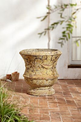 Shop Terrain Barnacle Thistle Urn, 31"