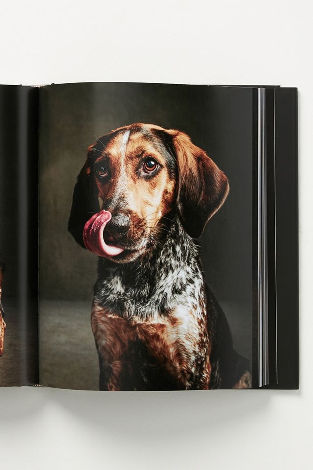 The Year of the Dog #1