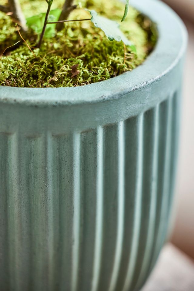 Fiber Concrete Barrel Pot, 7" #1