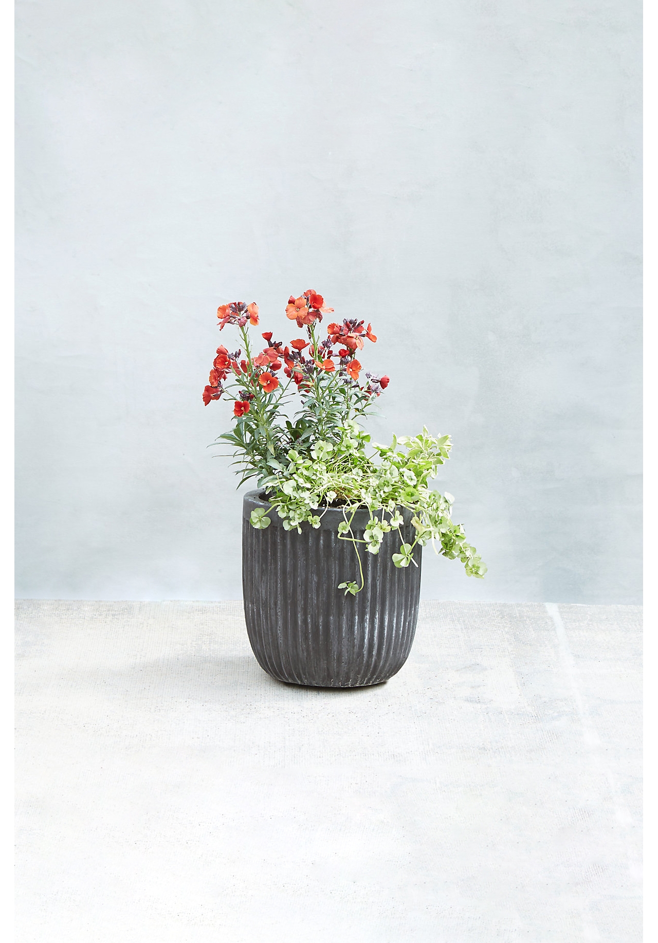 Fiber Concrete Barrel Pot