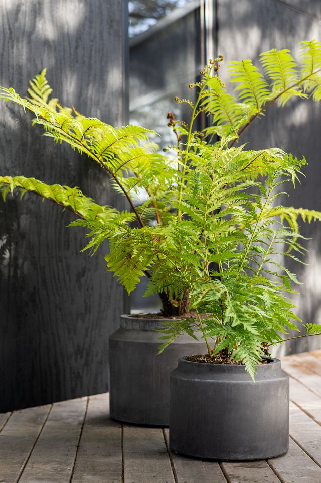 Fiber Jar Planter, 21"