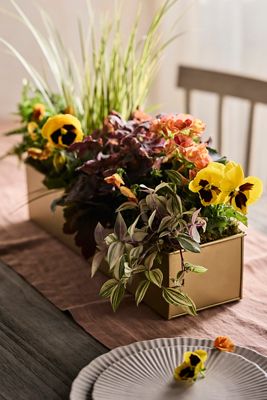 Habit & Form Rectangle Trough, Small