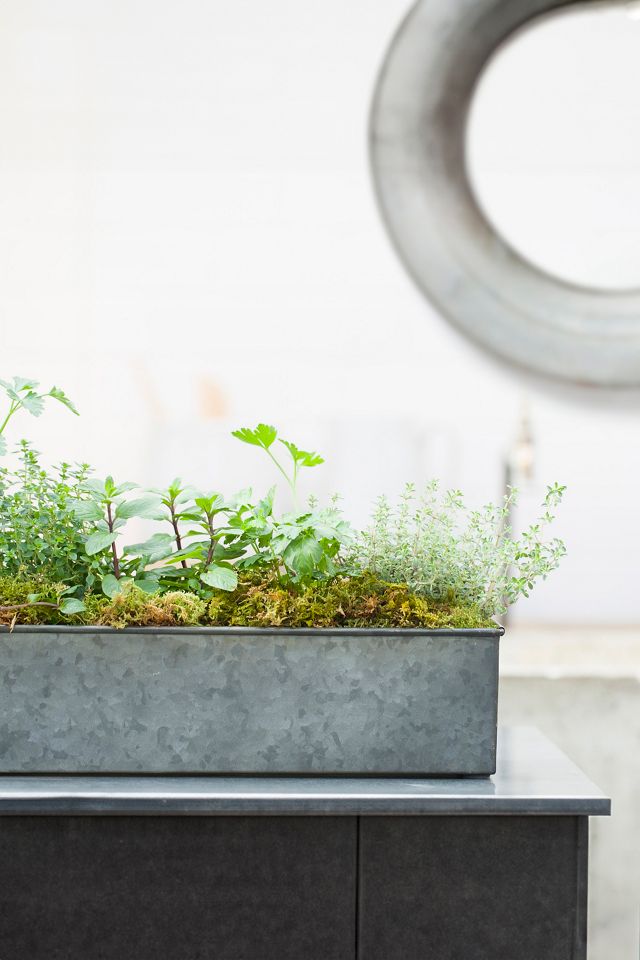 Habit & Form Rectangle Trough, Medium #4