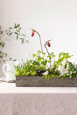 Terrain Rectangle Trough, Medium