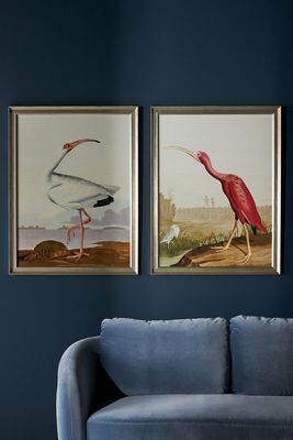 Regal Audubon Wall Art