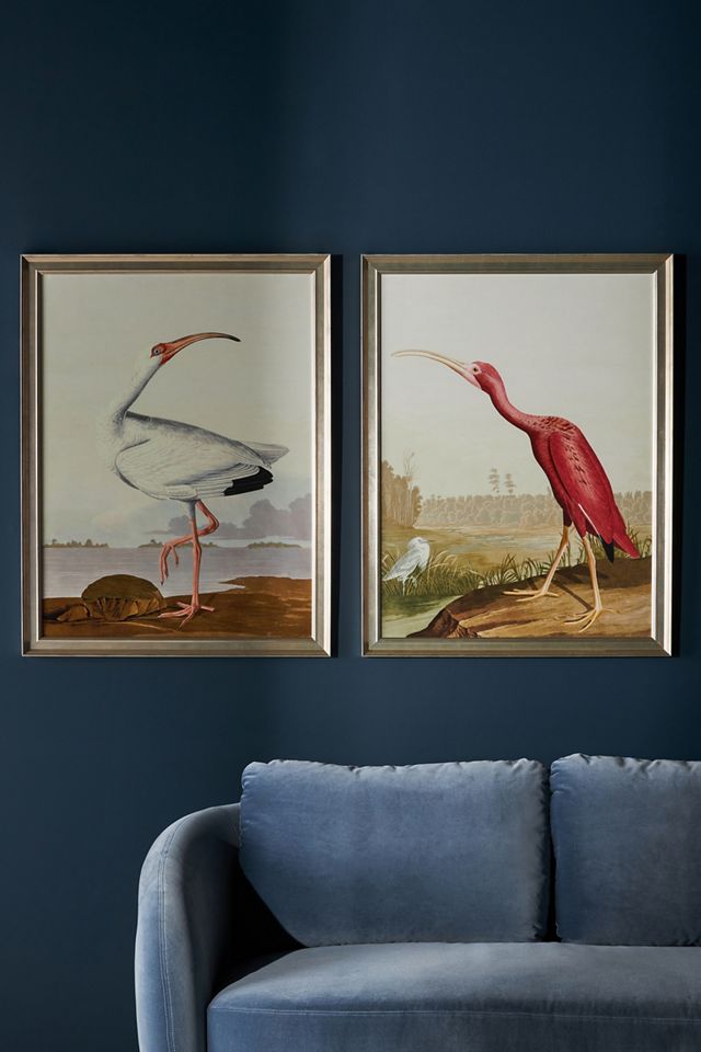 Regal Audubon Wall Art | Anthropologie