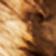 NEUTRAL MOTIF