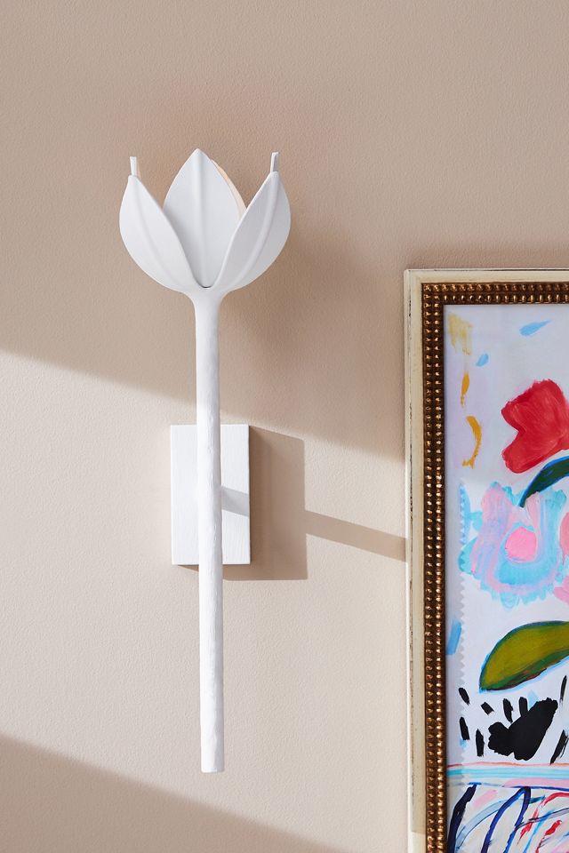Alberto Sconce #1