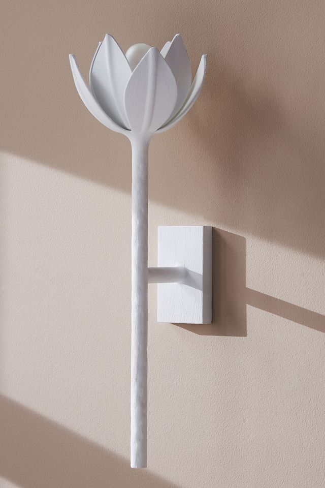 Alberto Sconce #2